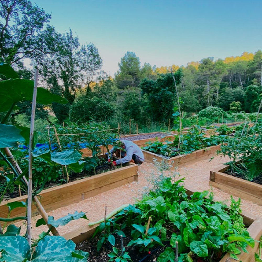 can-vital-luxury-retreat-spain-list-kitchen-garden