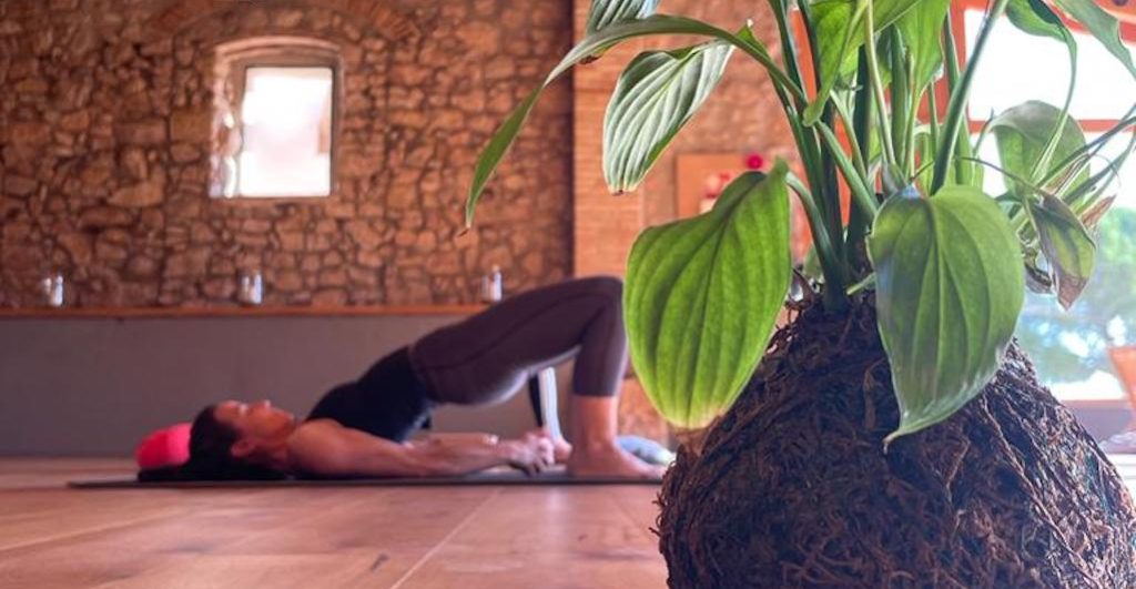 yoga kokedama